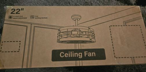 22 inch Fandelier Caged Ceiling Fan
