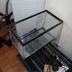 10 Gallon Fish Tank 