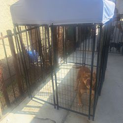 Dog Kennel Cage 