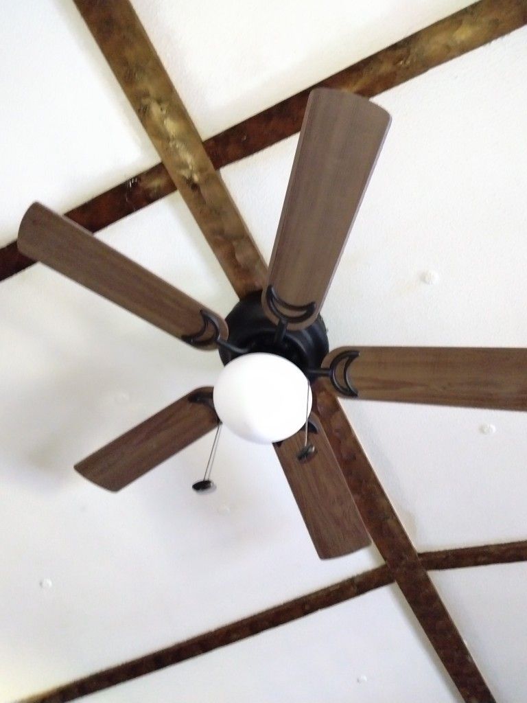 42in Ceiling Fan With Light 