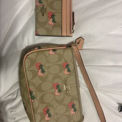 Coach Strawberry Print Nolita 19