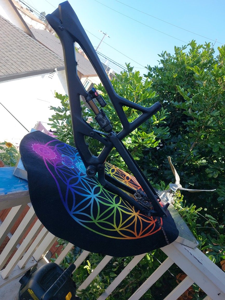 20 inch carbon fiber downhil. small Frame