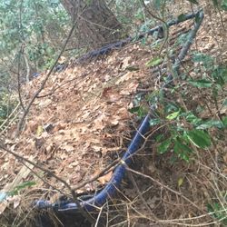 Trampoline Frame Good Condition