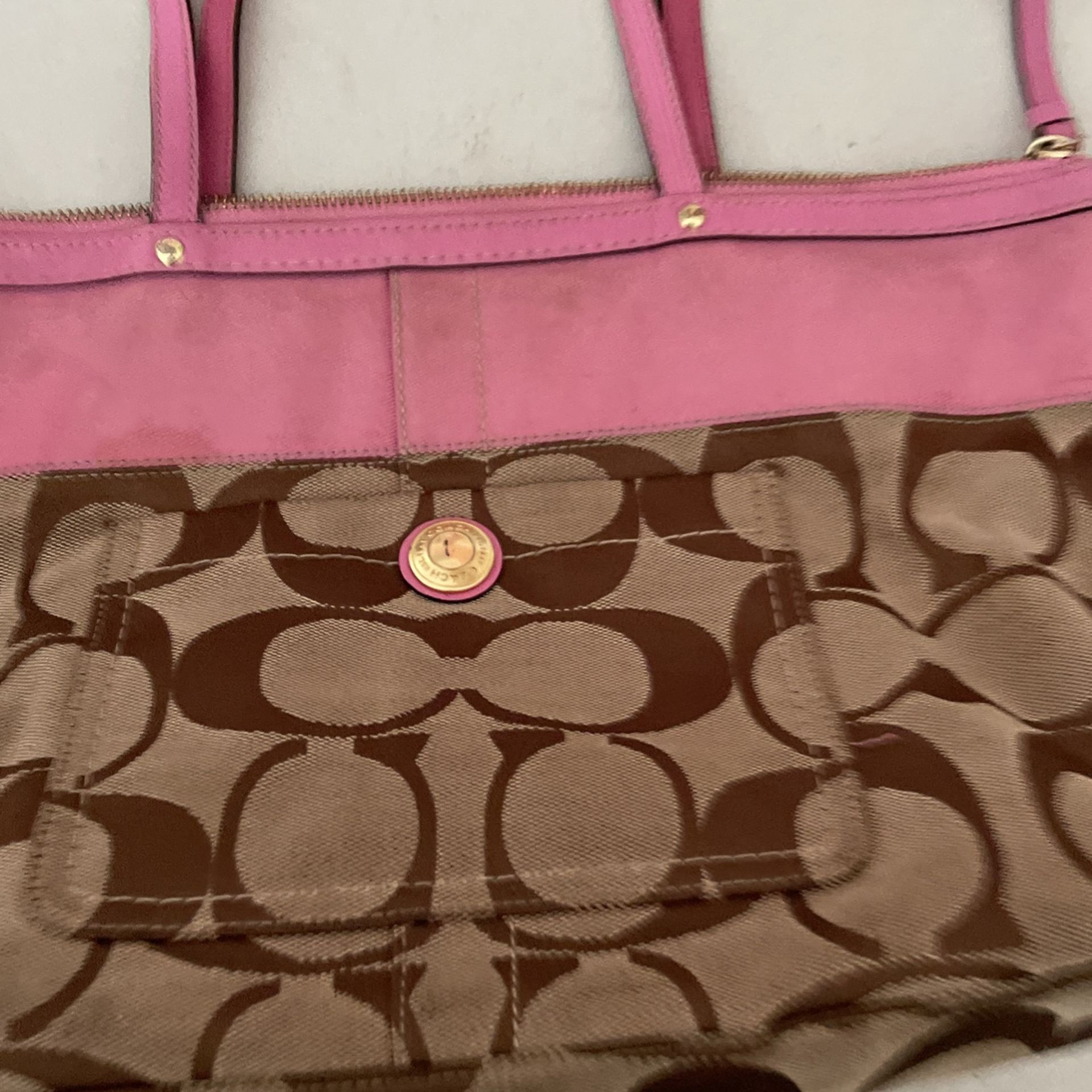  Is he Purse Needs Cleaned