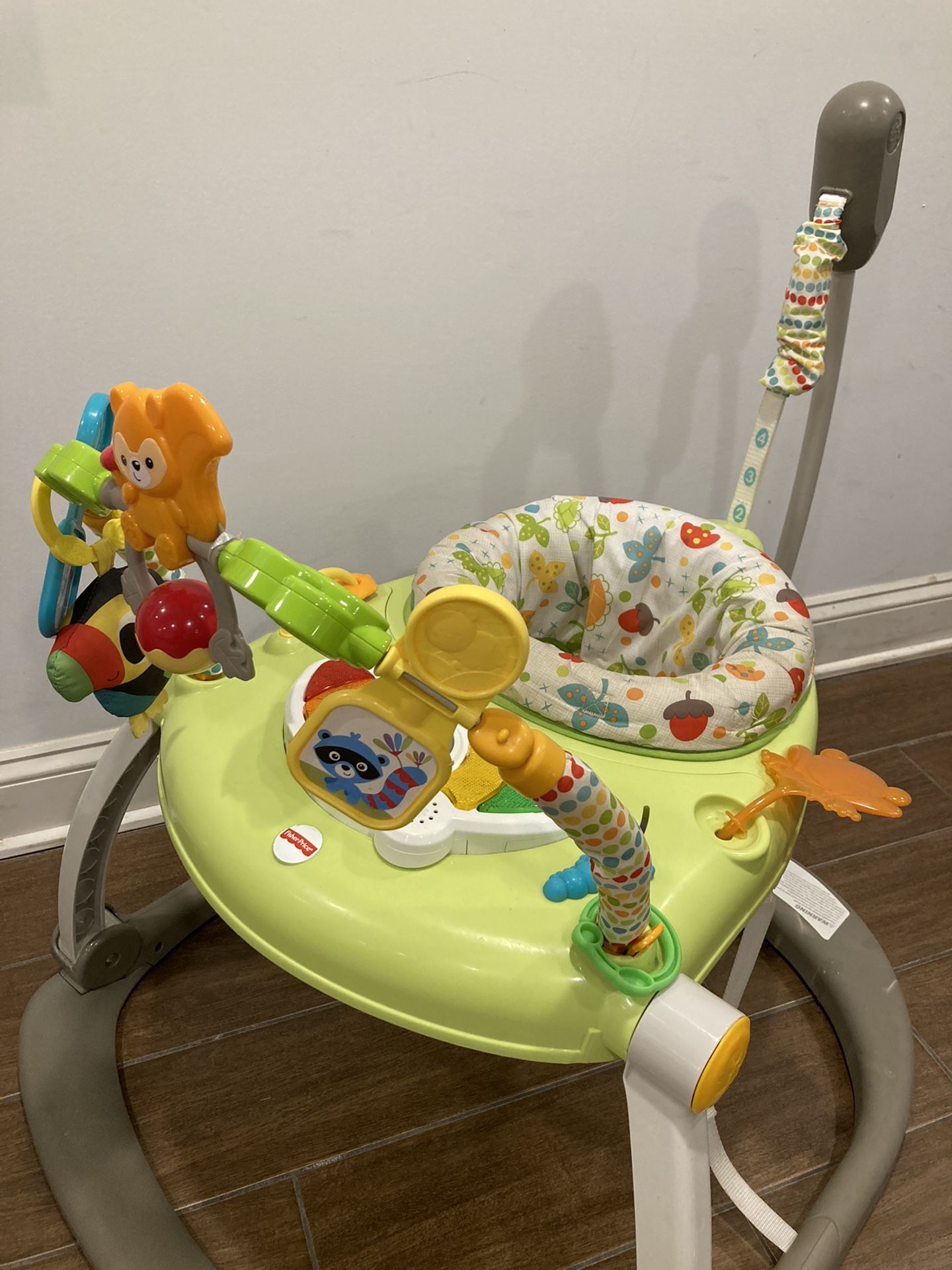 Fisher Price Jumperoo Activity Bouncer Center With Lights And Music Like New