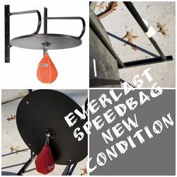 Brand new everlast speedbag