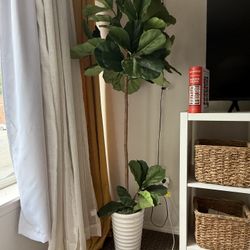 Fake Plant