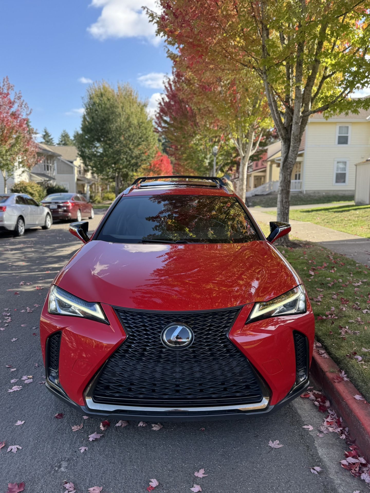 2019 Lexus UX 200