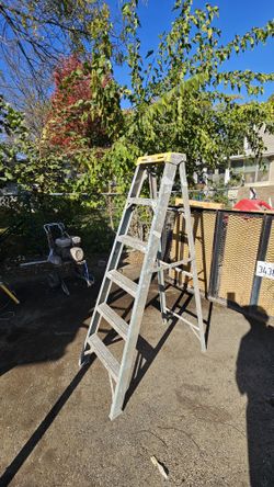 6 ft Ladder