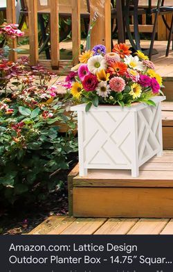 $10 Basket