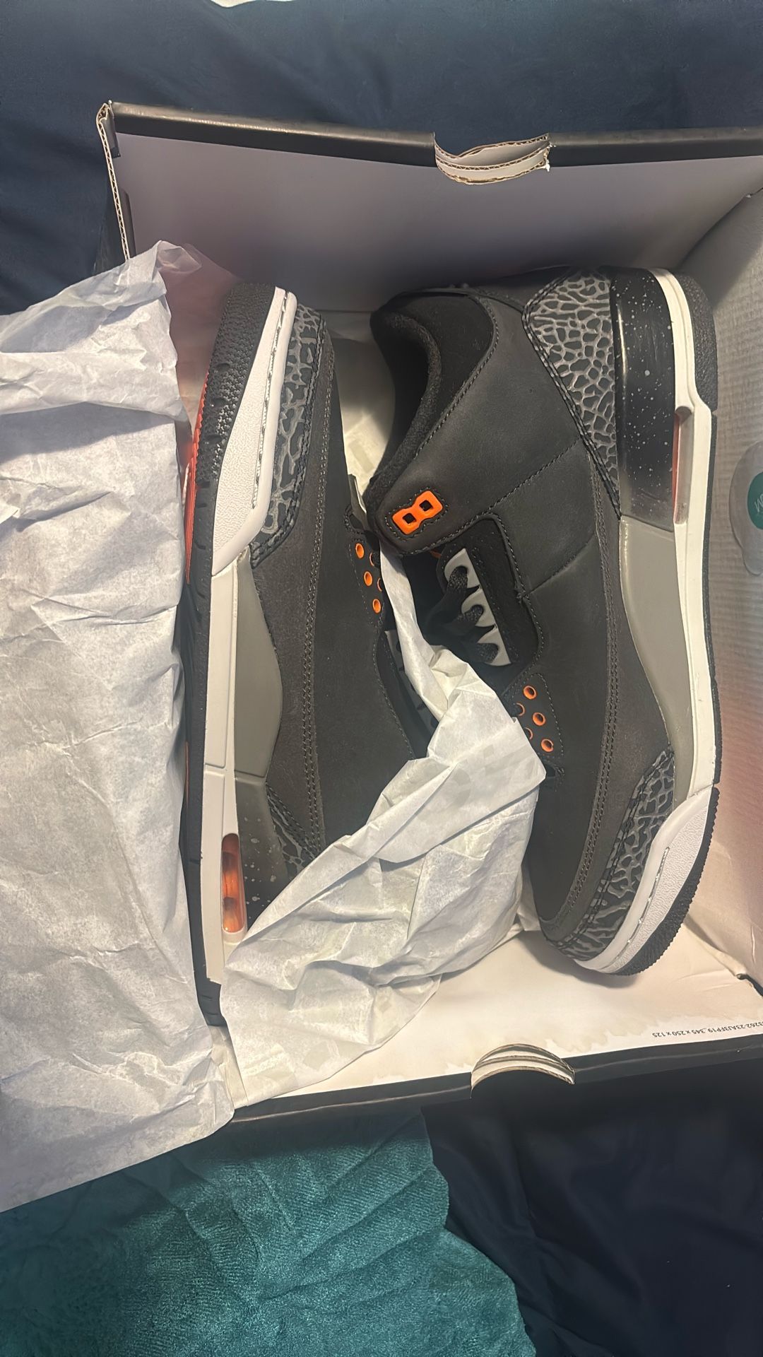 Air Jordan 3 “Fear”
