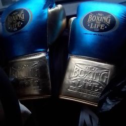 No Boxing No Life Boxing Gloves 