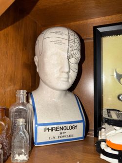 Phrenology Porcelain Head Statue