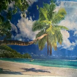 Cuadro Para Decoración 