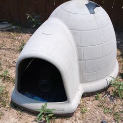 Dog House 