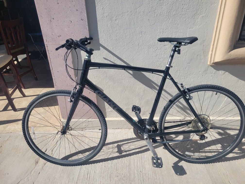 Mountain Bike Gigant