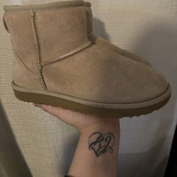 Uggs boots 
