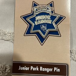 Nevada state park pin junior ranger