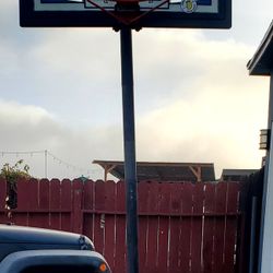 Lifetime Basketball Hoop