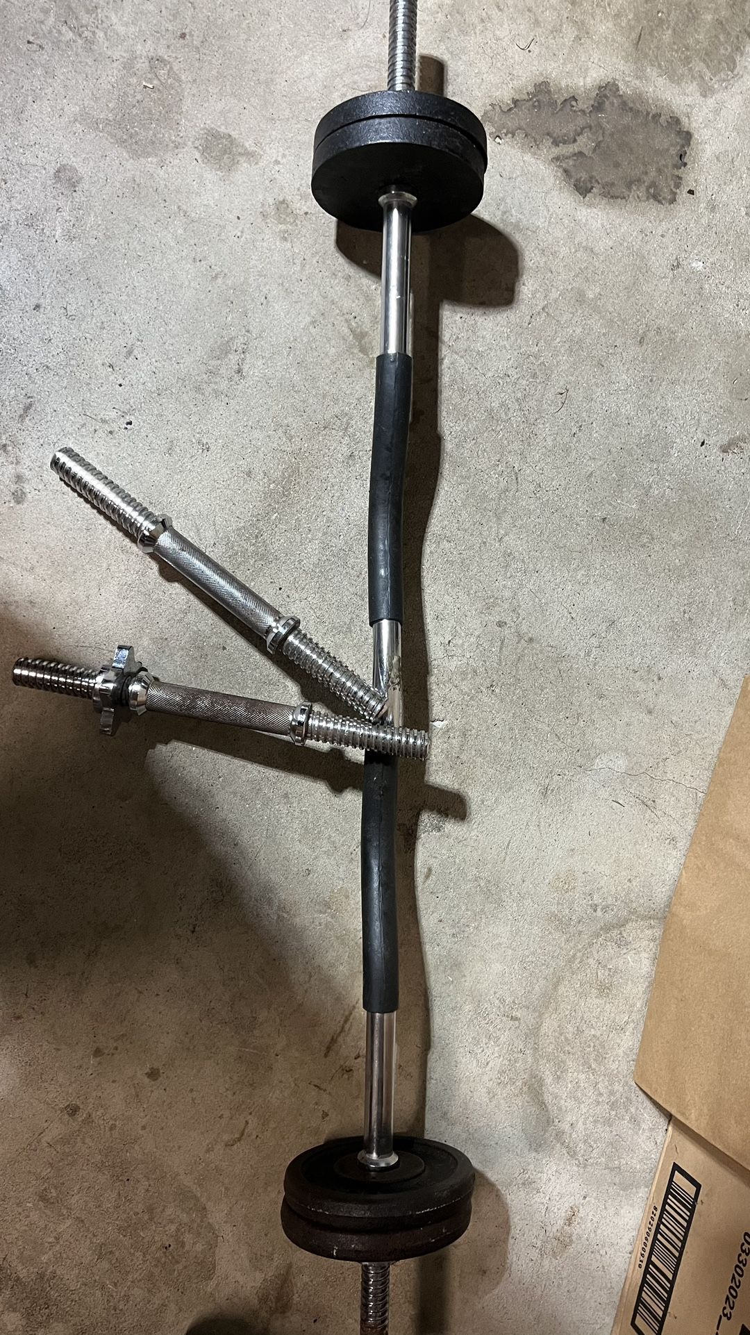 Curl Bar And Weights 