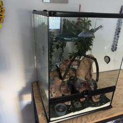Gecko / Lizard Terrarium Enclosure Cage 