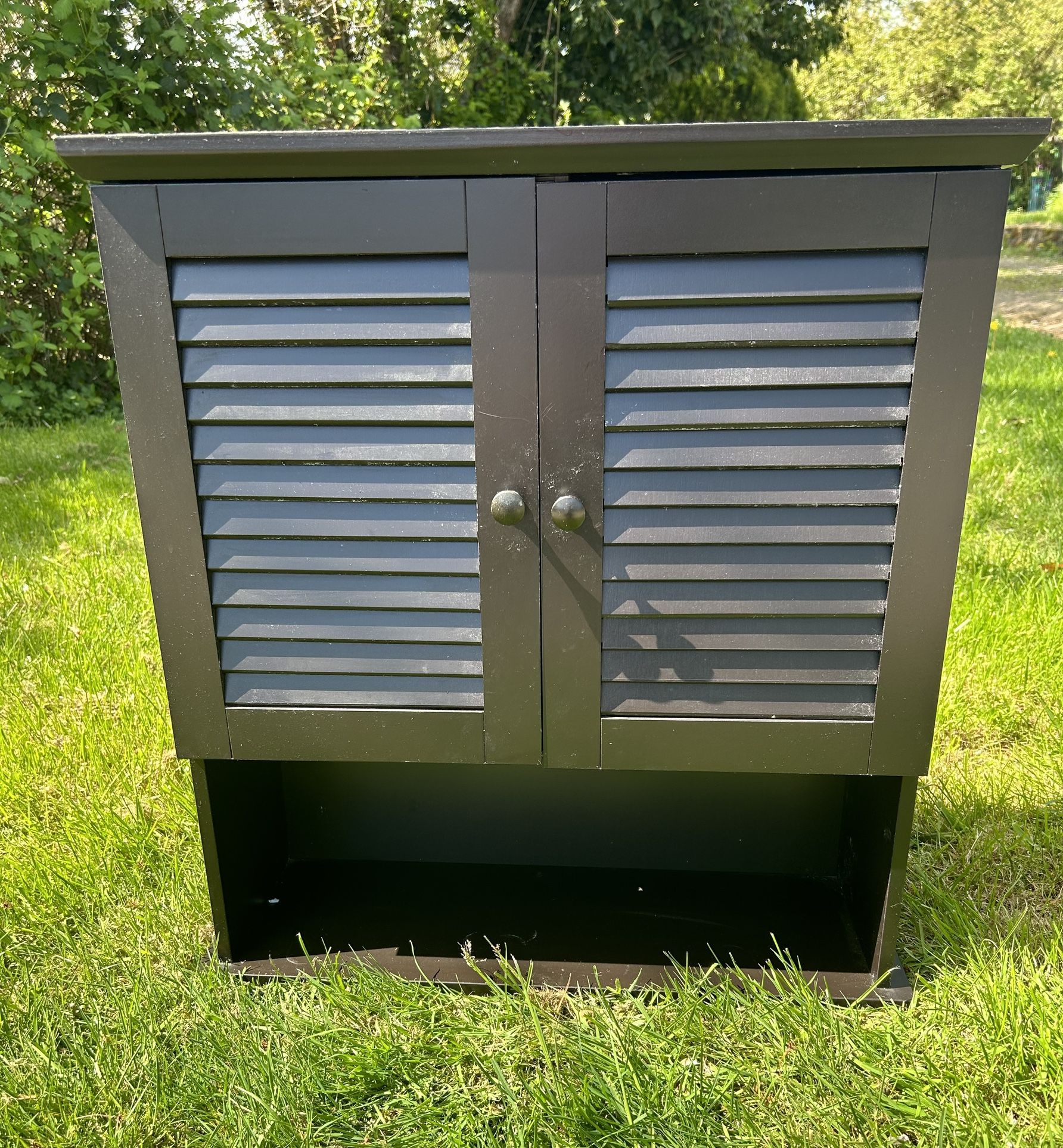 PENDING PICKUP Cabinet Bathroom Kitchen Shelves Organizer Hang