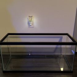 20 Gallon Tank For Fish Or Reptile