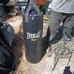 Everlast 70 Lbs Punching Bag