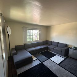 Modular Sectional Couch + Carpet 