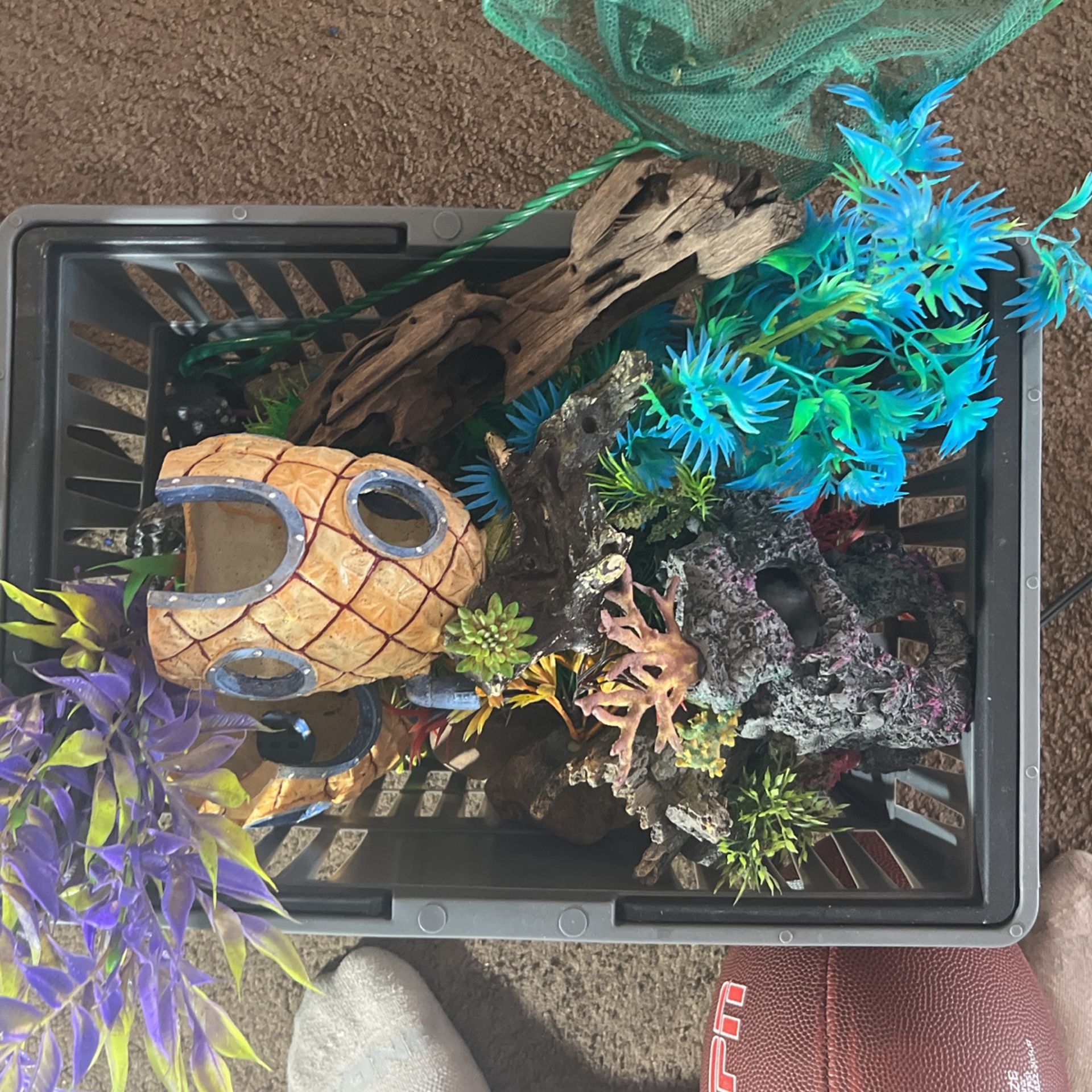 Fish Tank Decorations