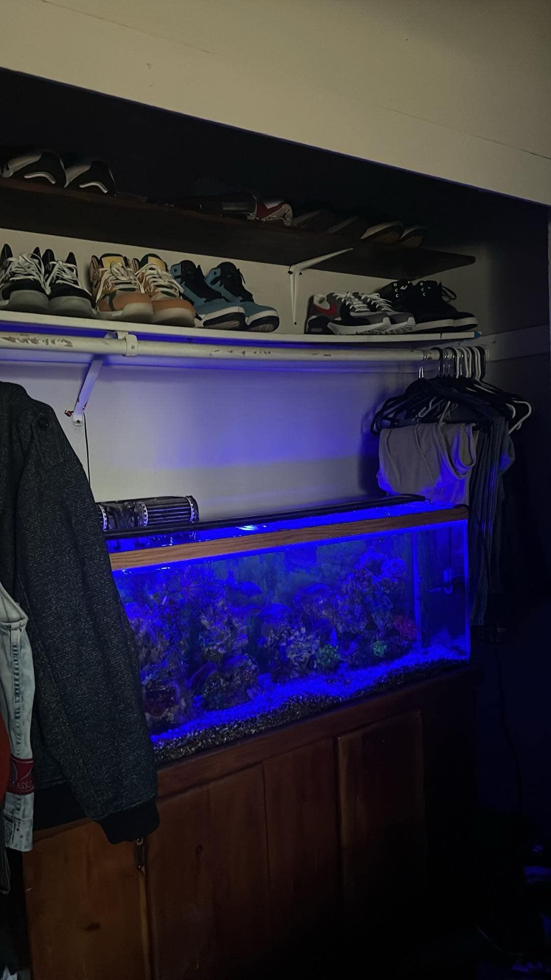 55 Gallon Aquarium