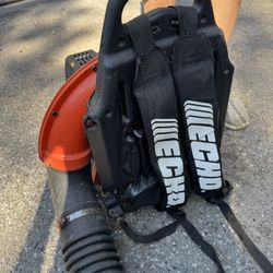 Echo Leaf Blower