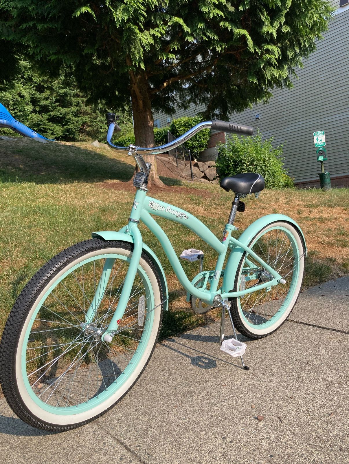 JOYSTAR 20 Beach Cruiser Bike