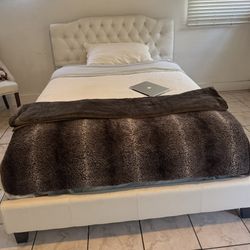 Queen Size Bed And Mattress 