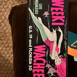 Vintage Florida Large Stickers Bumper stickers Decor