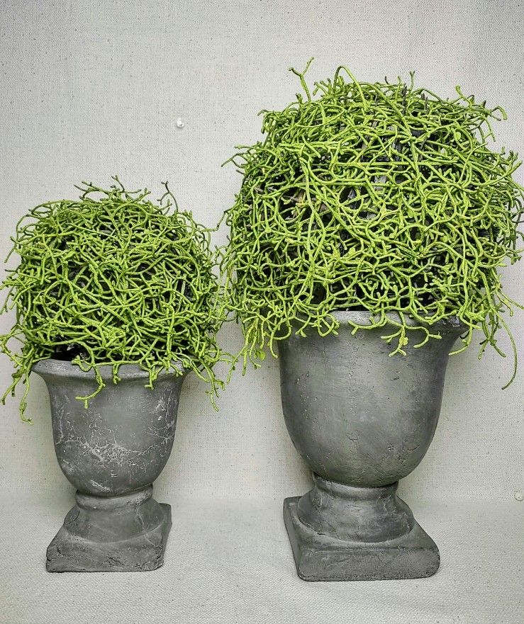 Topiary Faux Fern Plants Potted Ceramic 18" Pair