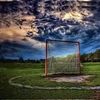Lacrosse Beast