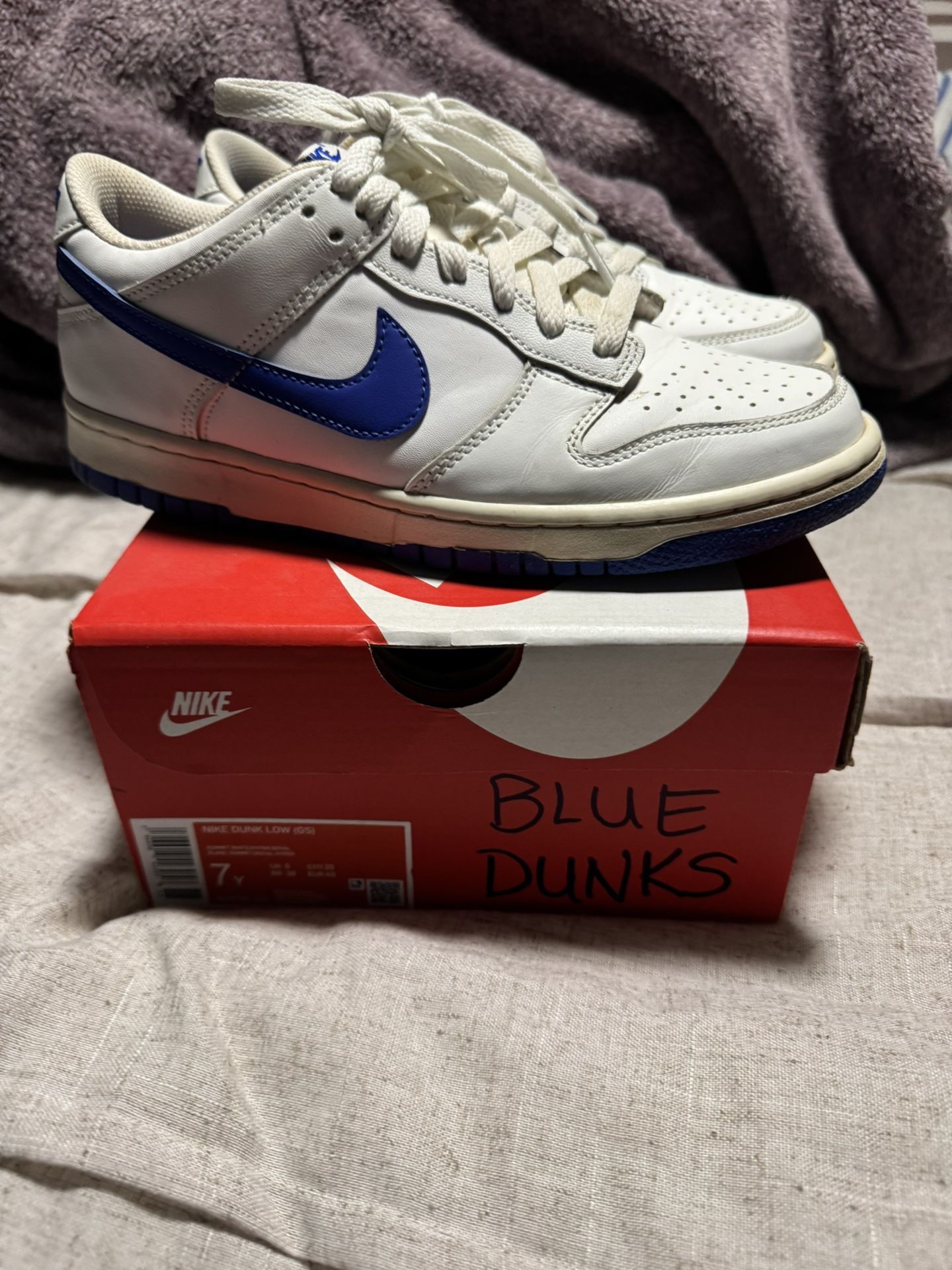 Blue Nike Dunks