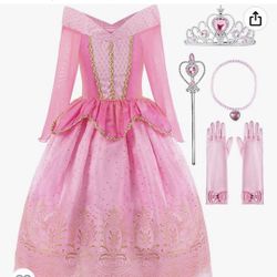 Princess Costume Size 6-6X