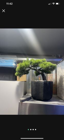 Bonsai Artificial