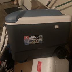 Igloo Maxcold Cooler