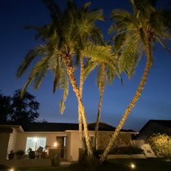 Complete Landscaping Lighting Inst4llati0ns!!!