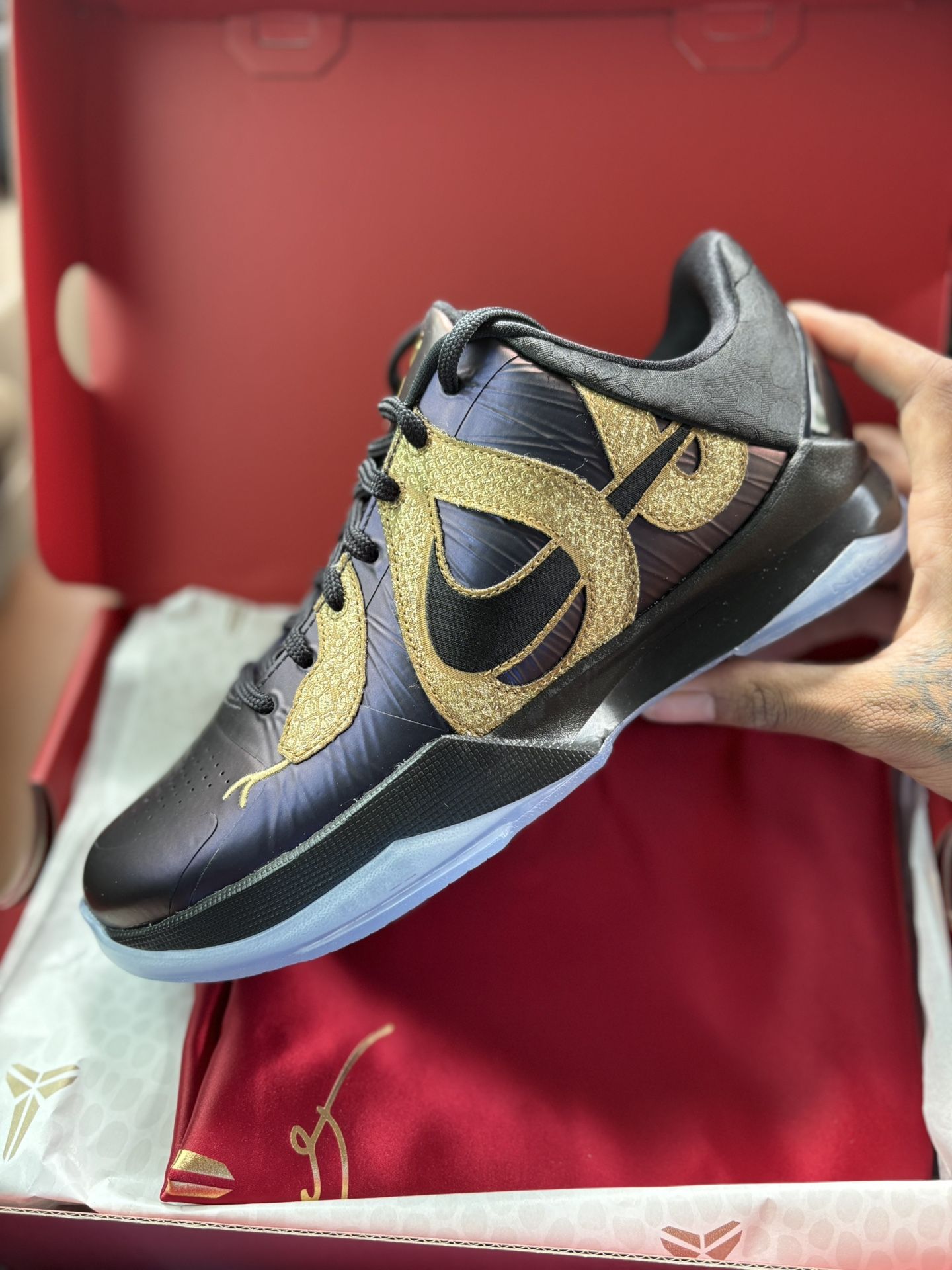 Kobe Year of the Mamba Eggplant