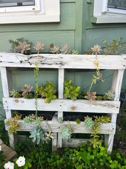 White pallet planter