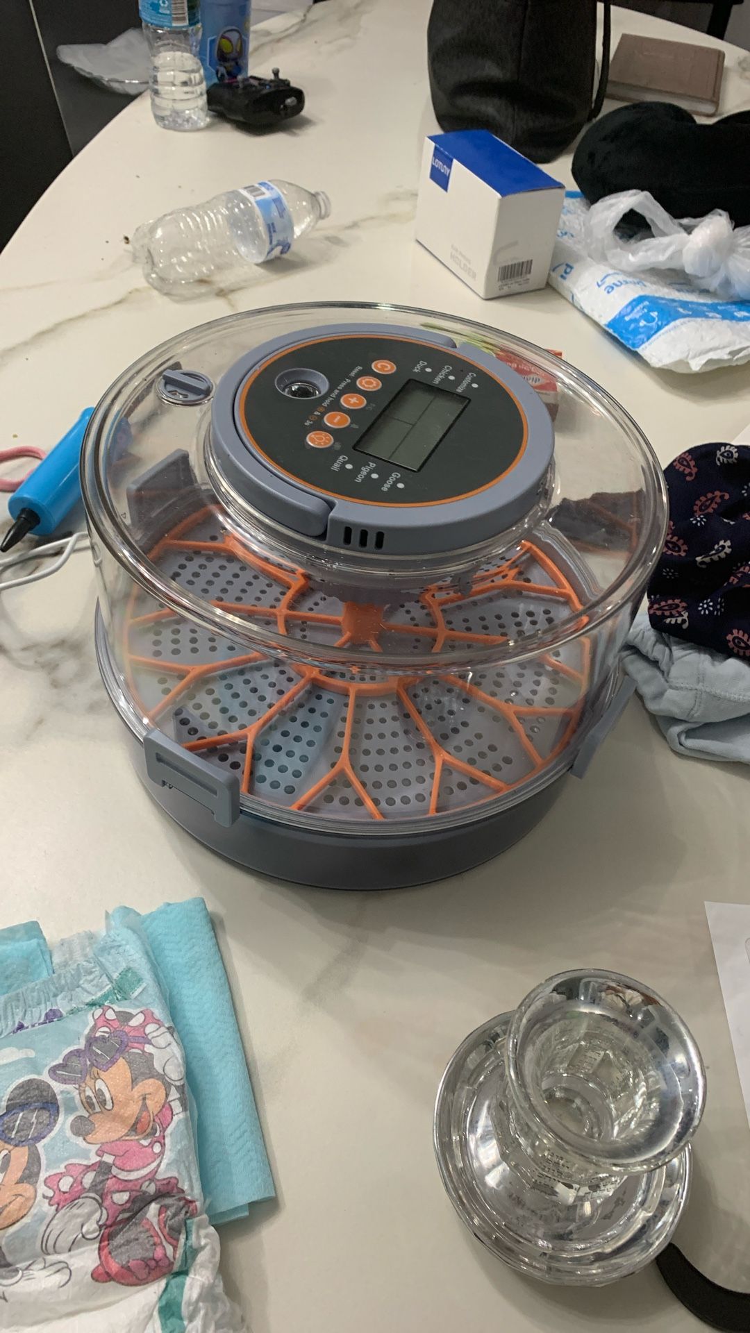 Egg Incubator