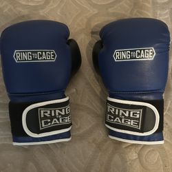 Ring To Cage Boxing Gloves