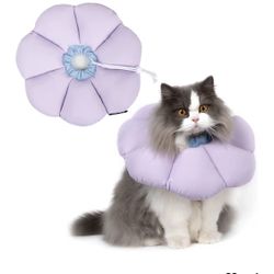 Cat Cone/ Surgery Accessories 