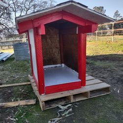 Large Wood Dog House