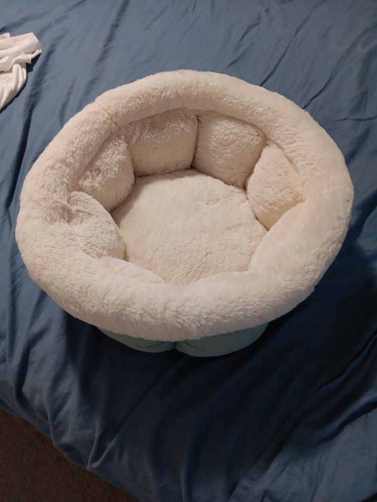 Pet Bed New