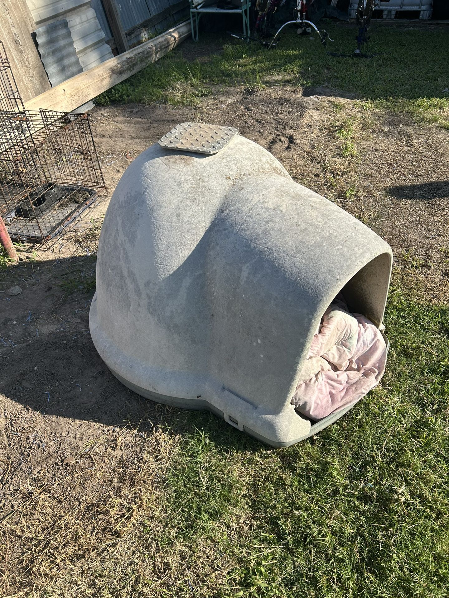 Dog House
